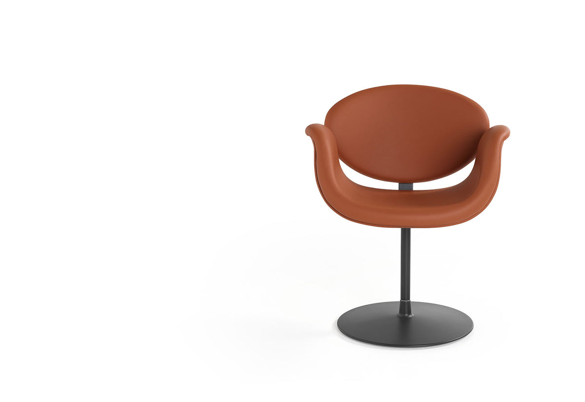Little Tulip Chair, Pierre paulin, Artifort