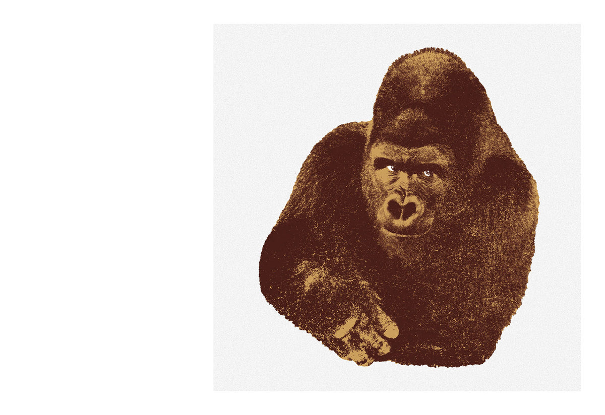 Quindici il Gorilla Screen Print, Enzo mari, Danese