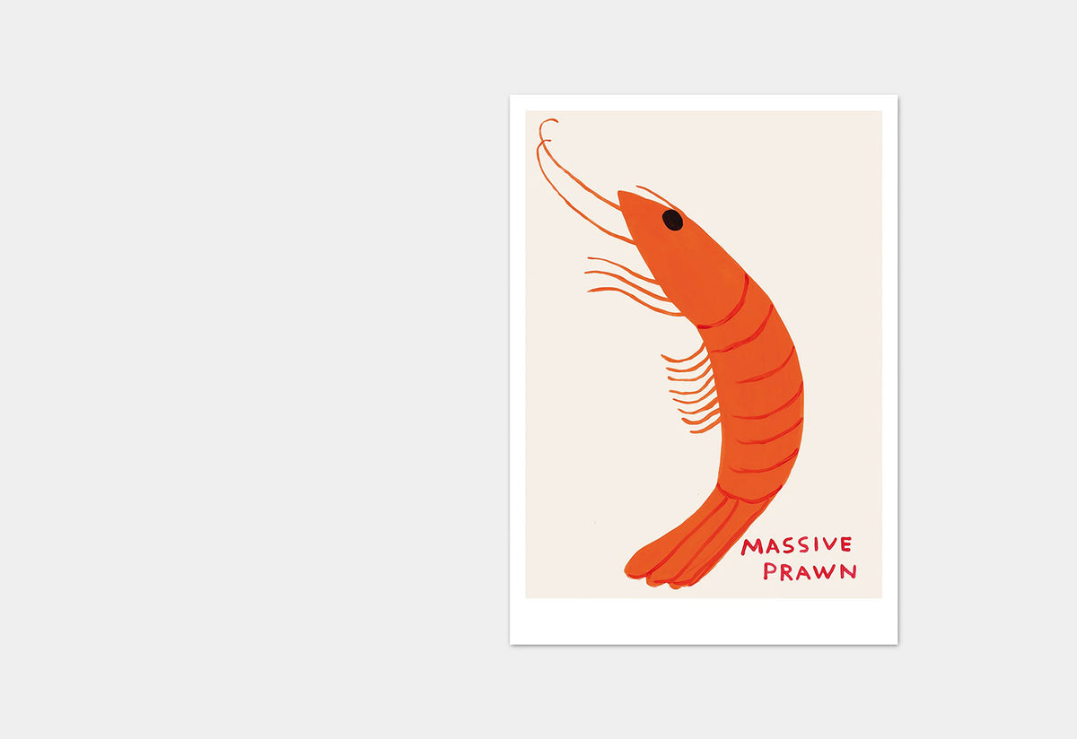 Massive Prawn Postcard, David shrigley, Shrig shop