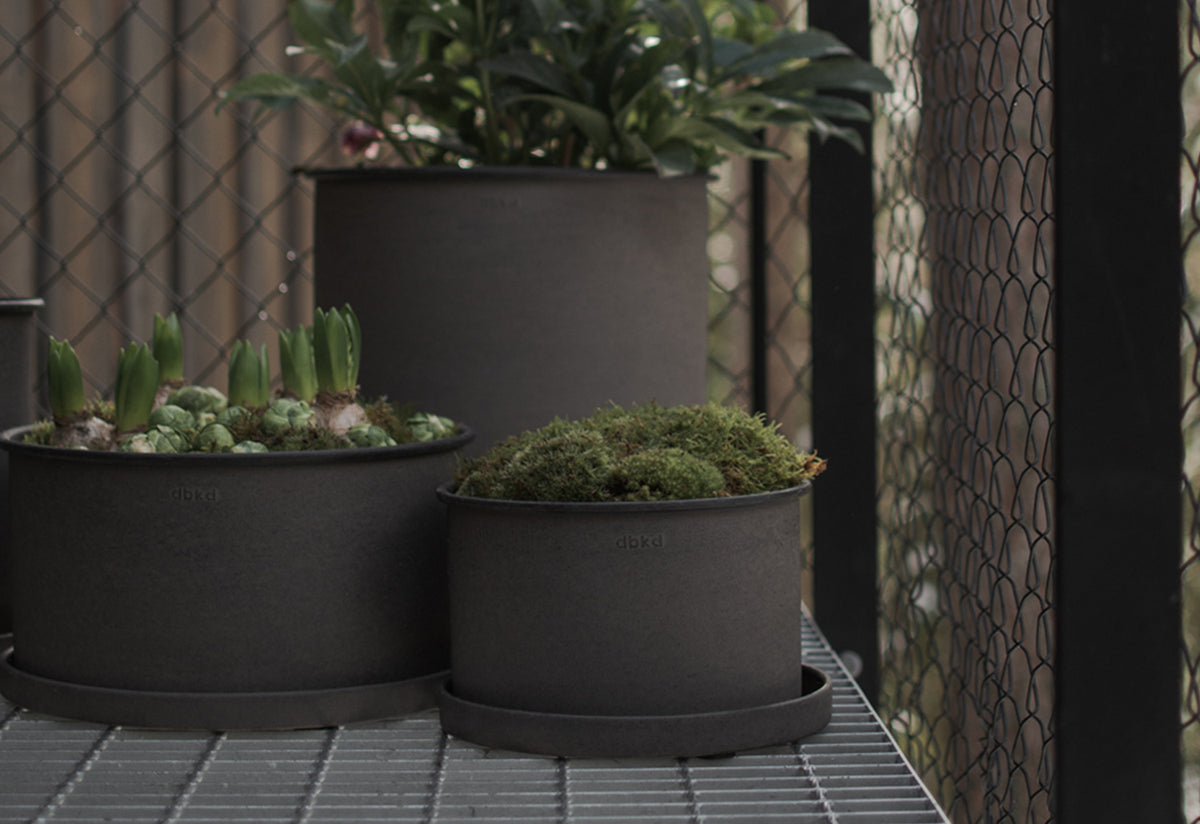 Plant Pot Low with Tray, Dbkd