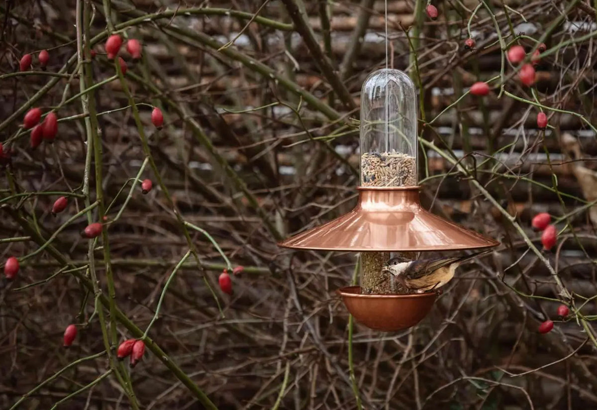 De Luxe Bird Feeder, Tools design, Eva solo