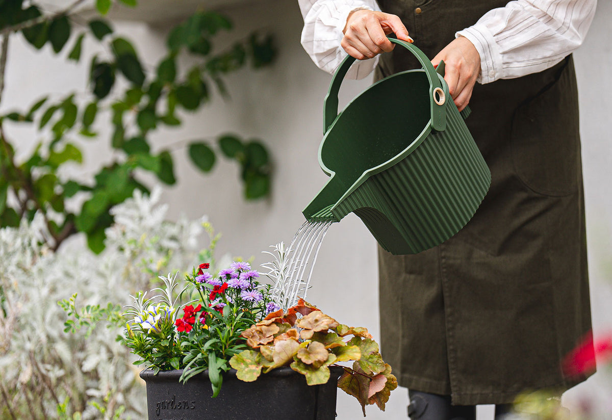 Garden Beetle Watering Can, Hachiman