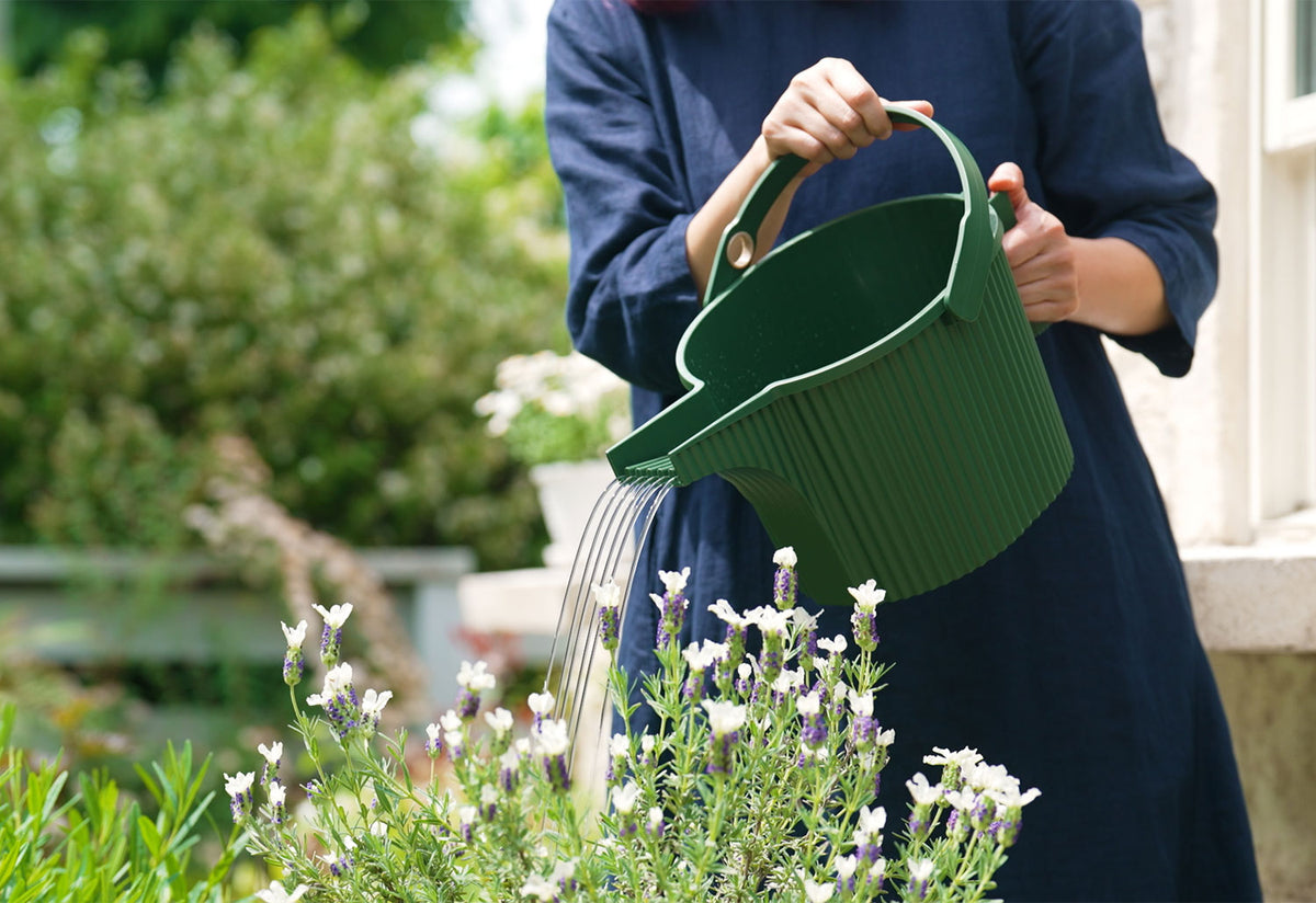 Garden Beetle Watering Can, Hachiman