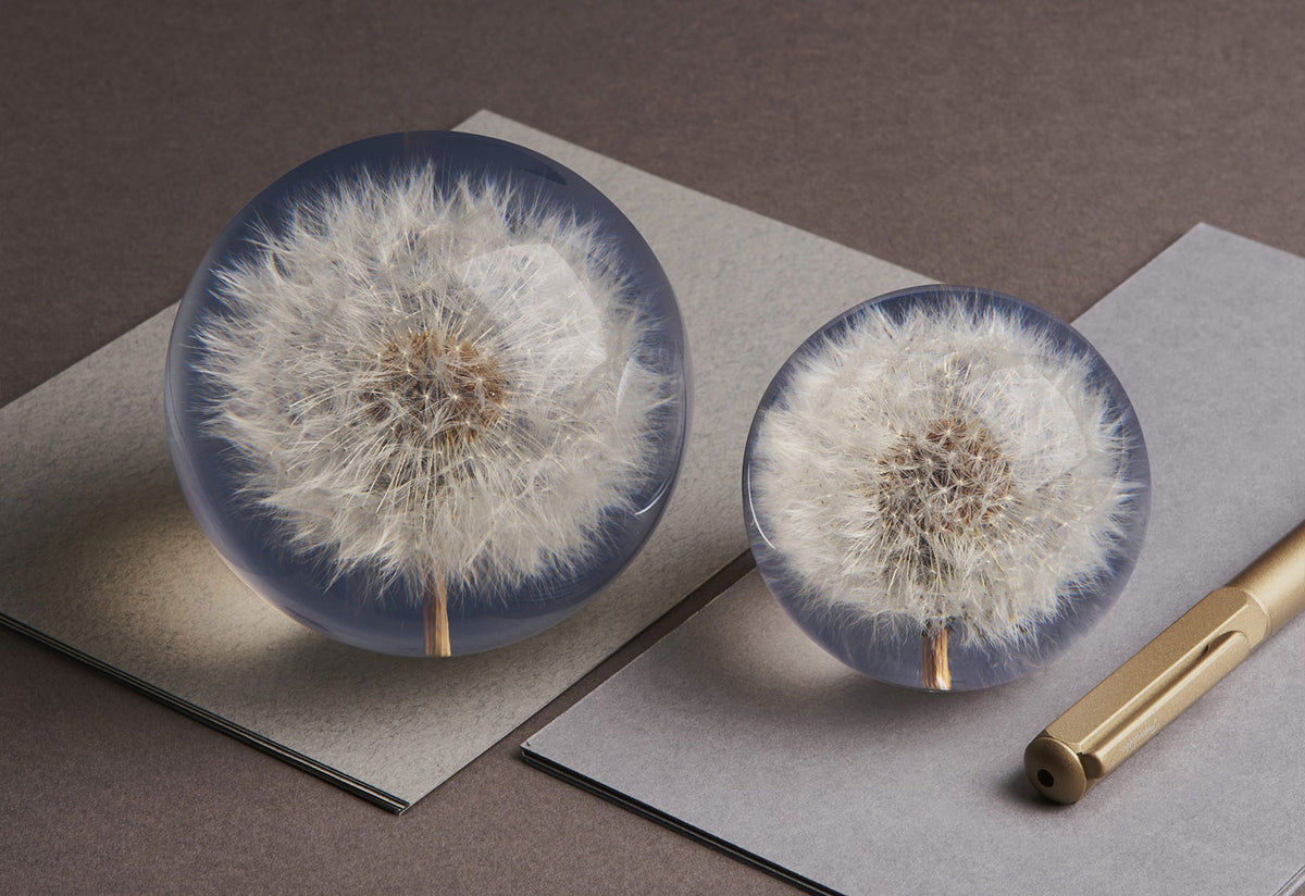 Dandelion Paperweight, B and a needham, Hafod grange