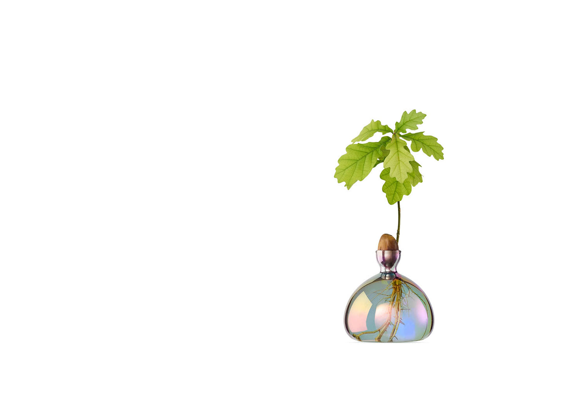 Acorn Vase, Ilex studio
