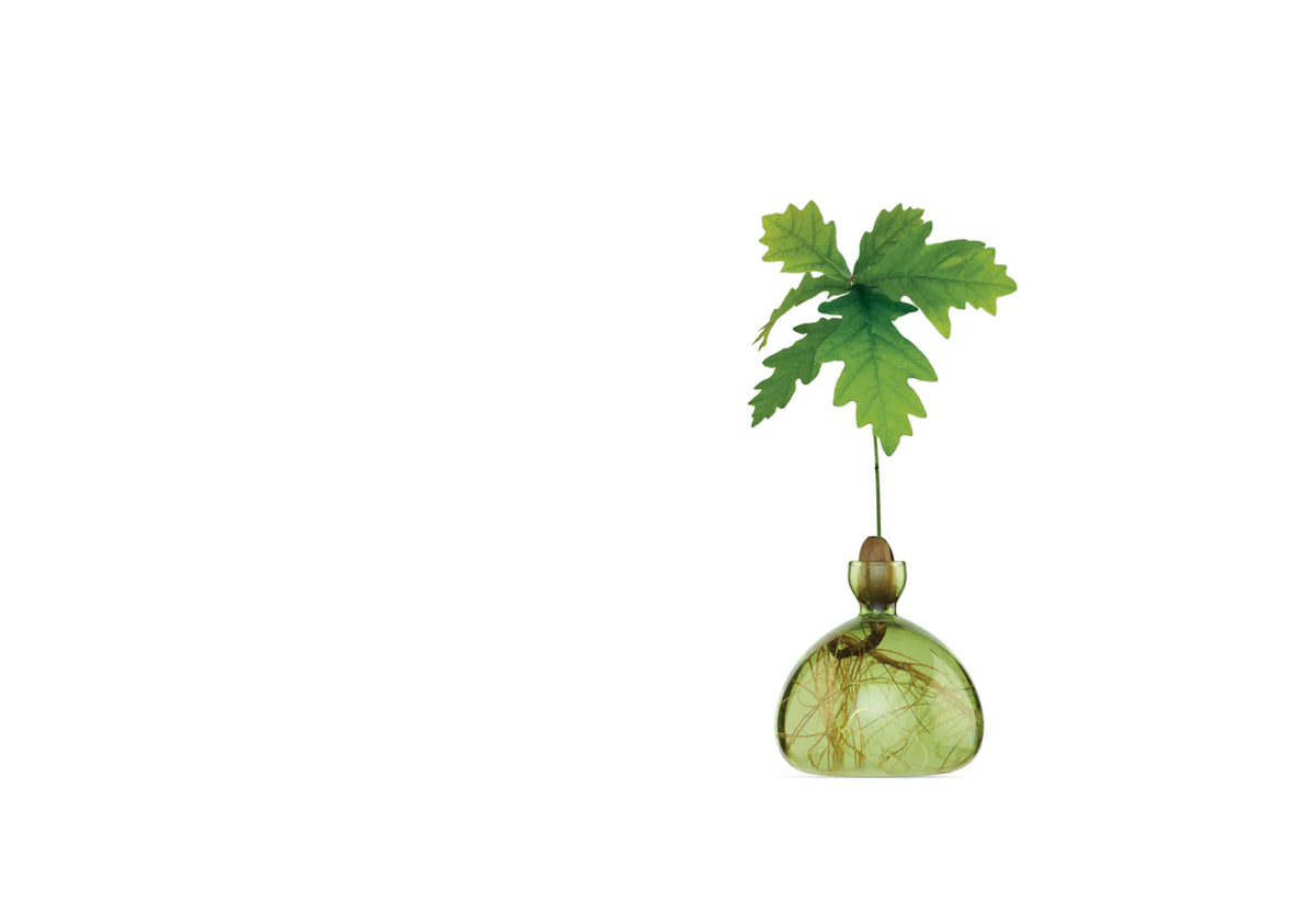 Acorn Vase, Ilex studio