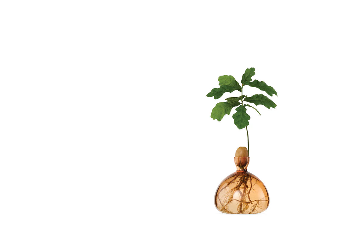 Acorn Vase, Ilex studio