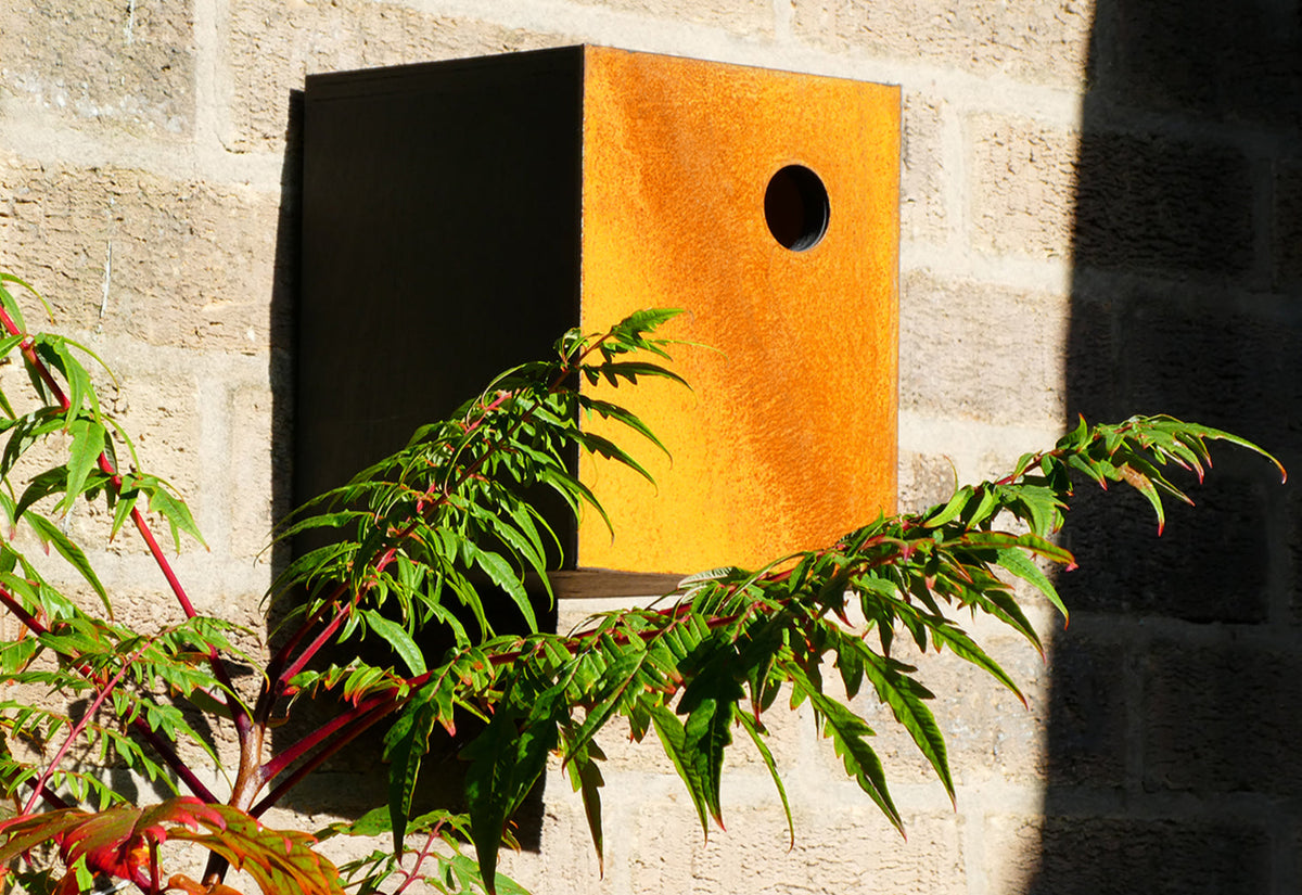Corten Nestbox, John hollington