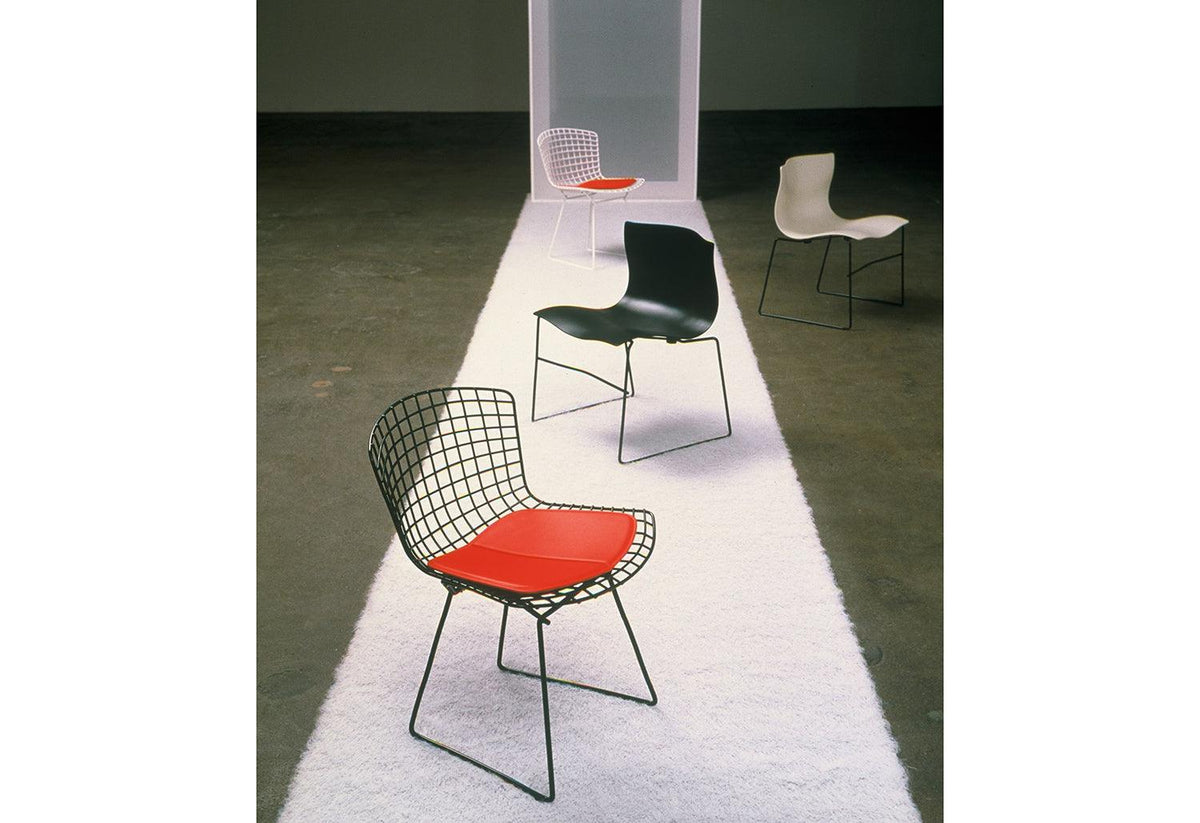 Bertoia Side Chair | Ex-Display