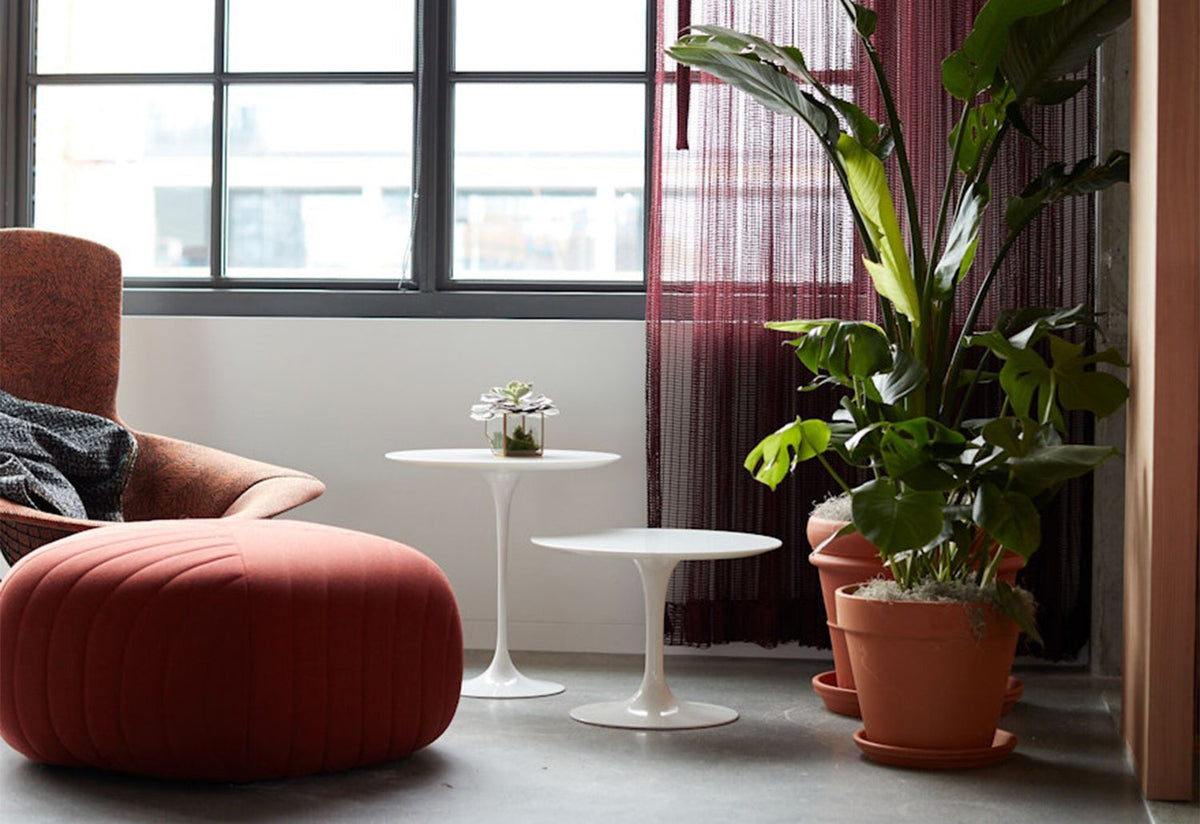Tulip Side Table | Round, Eero saarinen, Knoll