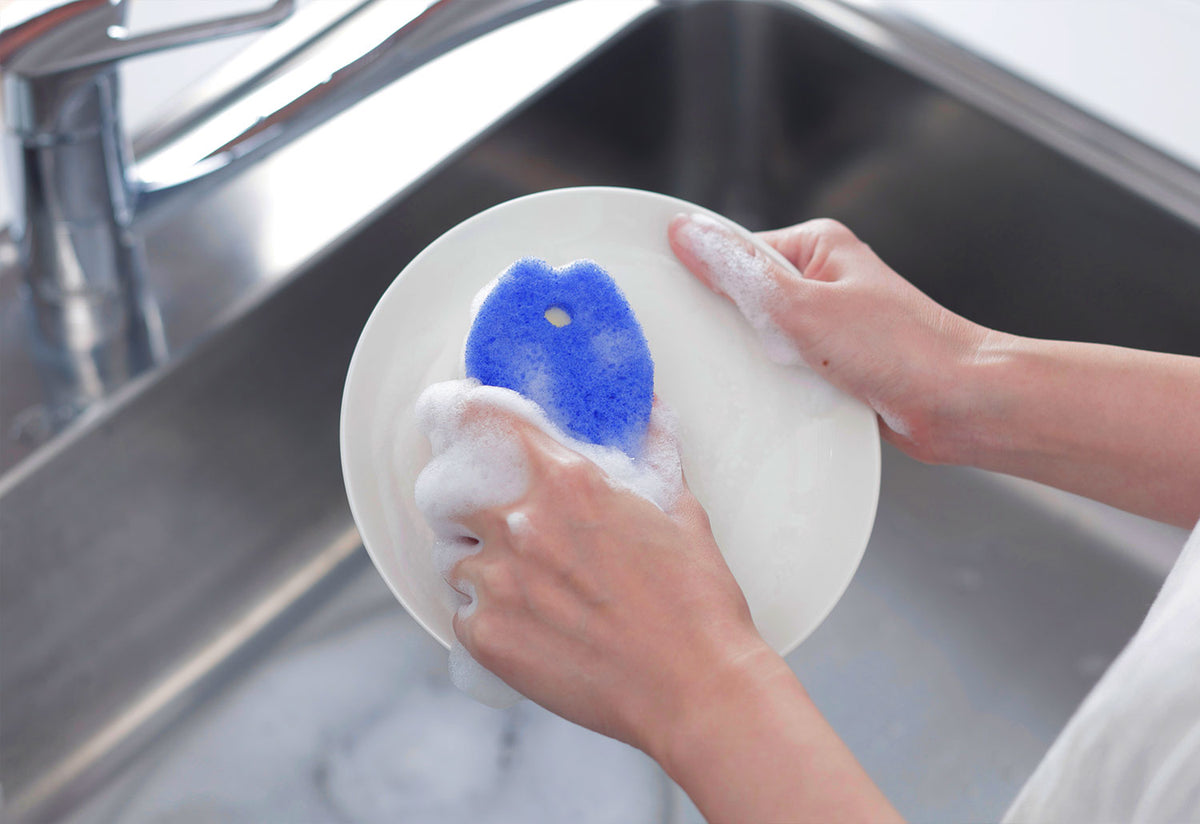 Fish Kitchen Sponge, Marna, Marna