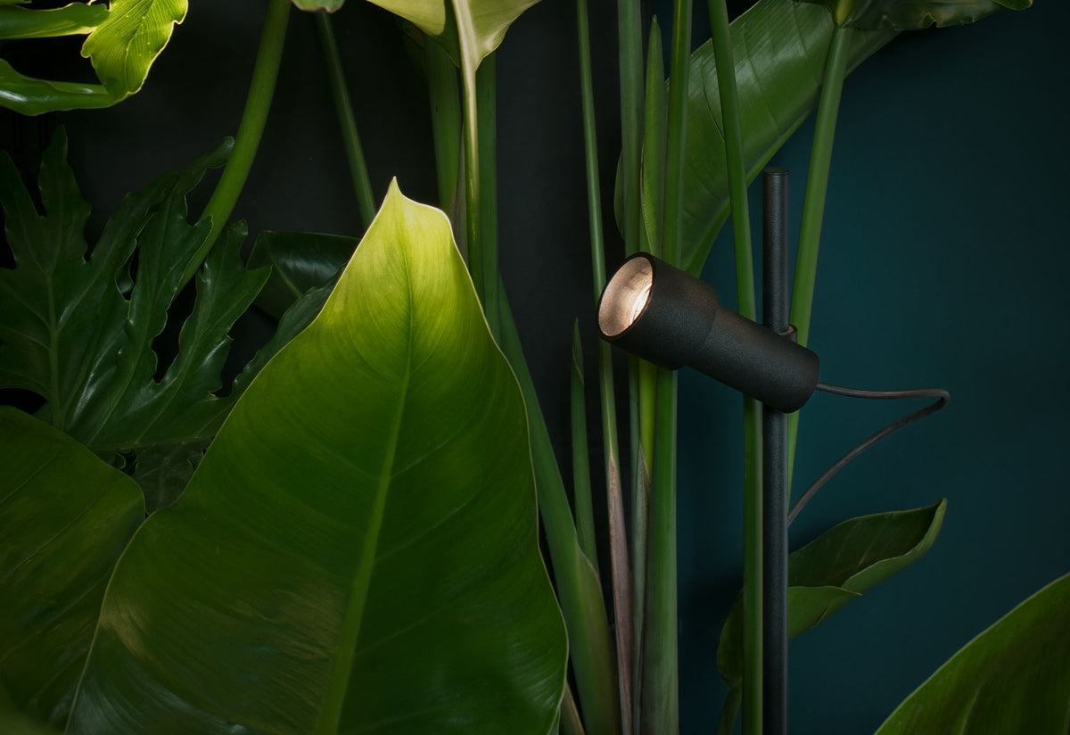 Palosanto Bollard, Christophe mathieu, Marset