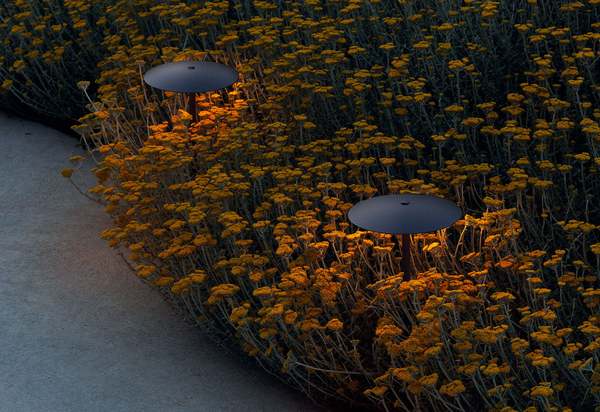 Ginger Bollard, Joan gaspar, Marset
