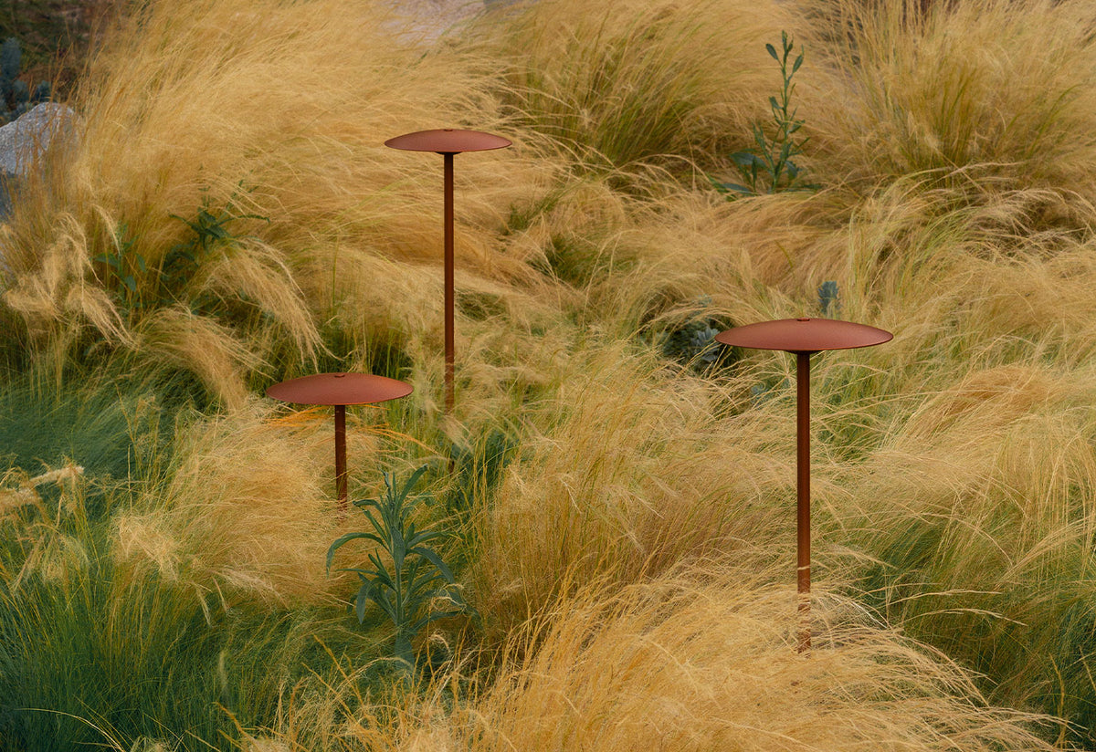 Ginger Bollard, Joan gaspar, Marset