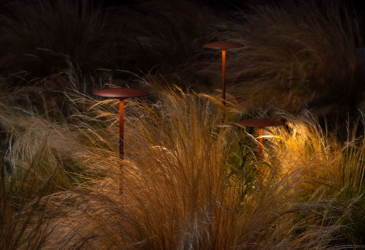 Ginger Bollard, Joan gaspar, Marset