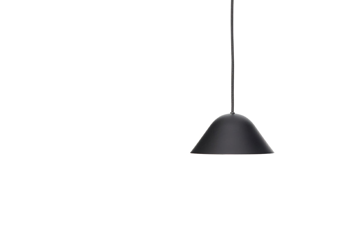 Cassis Pendant, Niclas hoflin, Rubn