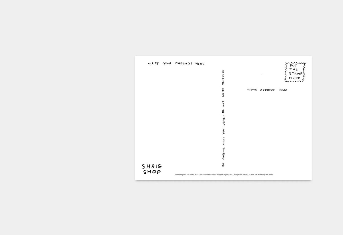 I'm Sorry Racoon Postcard, David shrigley, Shrig shop