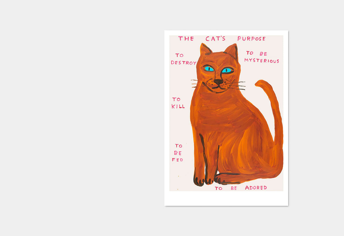 The Cat's Purpose Postcard, David shrigley, Shrig shop