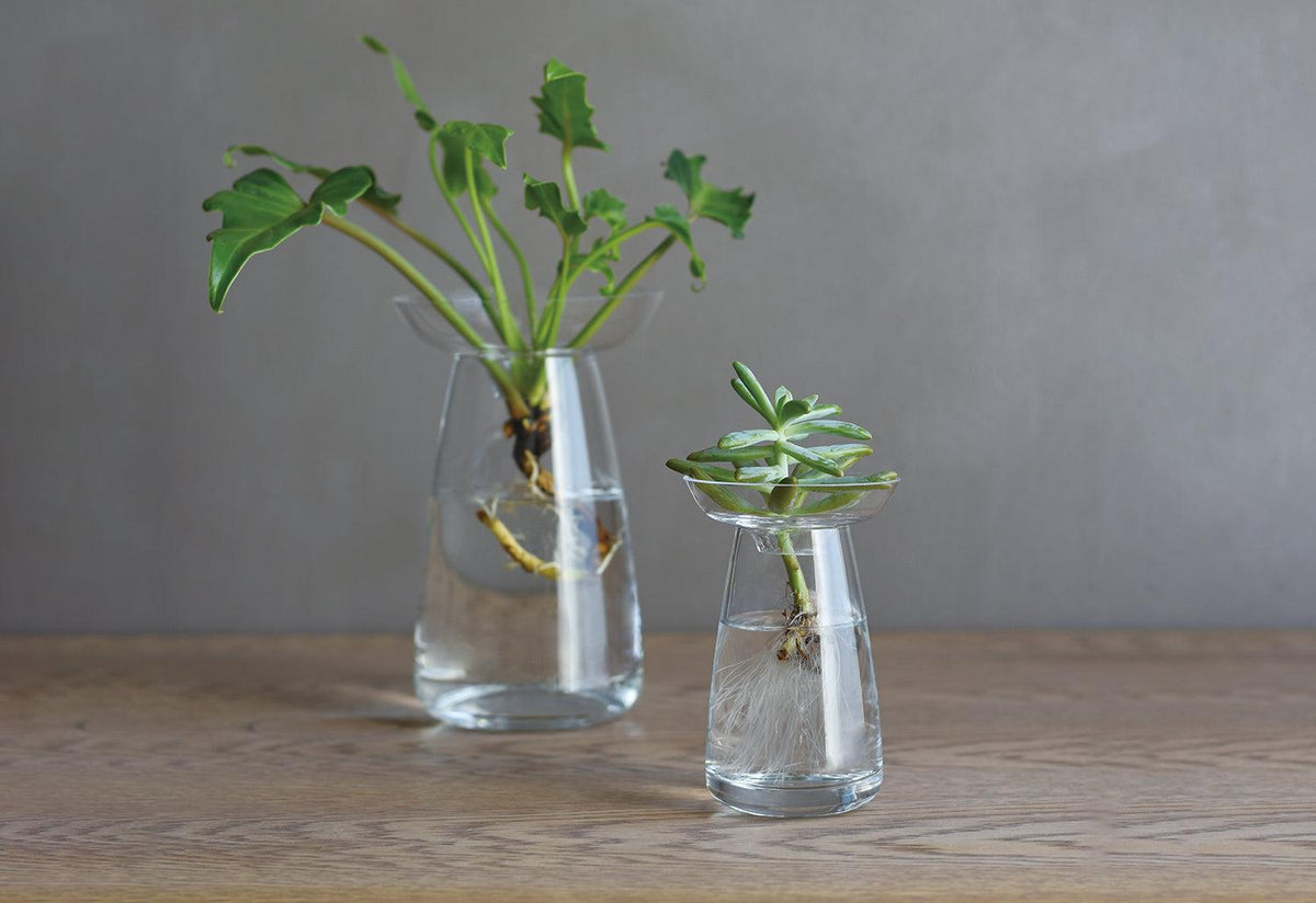 Aqua Culture Vase, Kinto