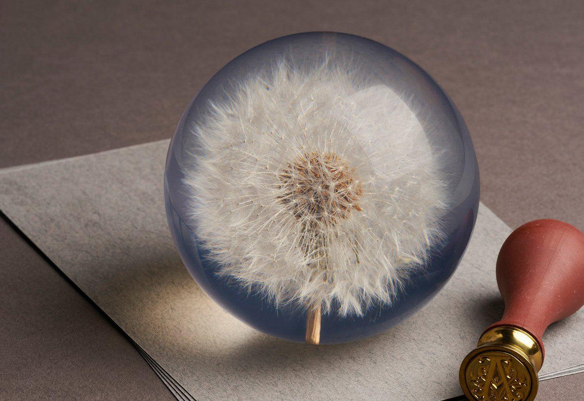 Dandelion Paperweight, B and a needham, Hafod grange