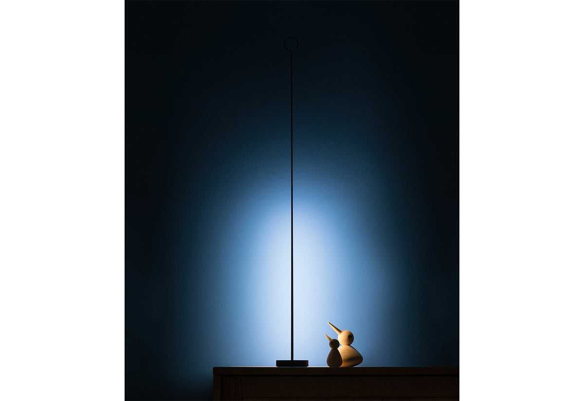 Anima Light, Davide groppi, Davide groppi
