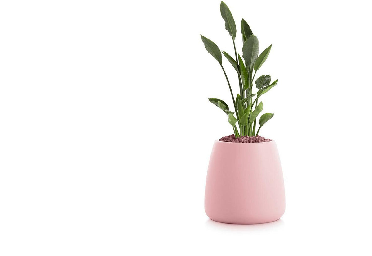 Gobi Planter, Gandia blasco