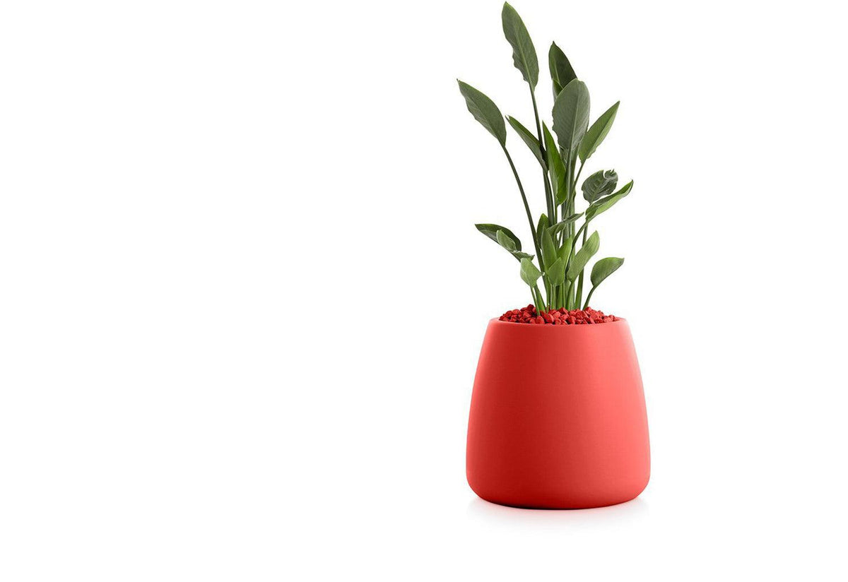 Gobi Planter, Gandia blasco
