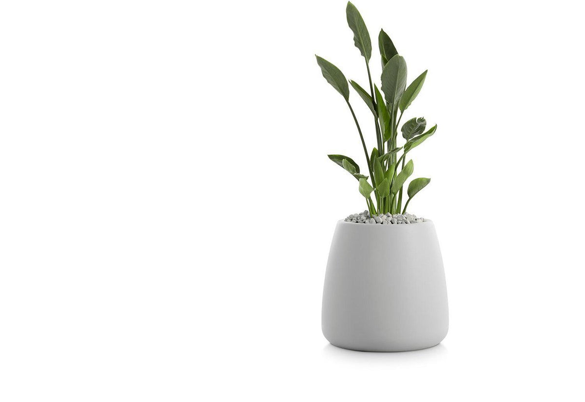 Gobi Planter, Gandia blasco