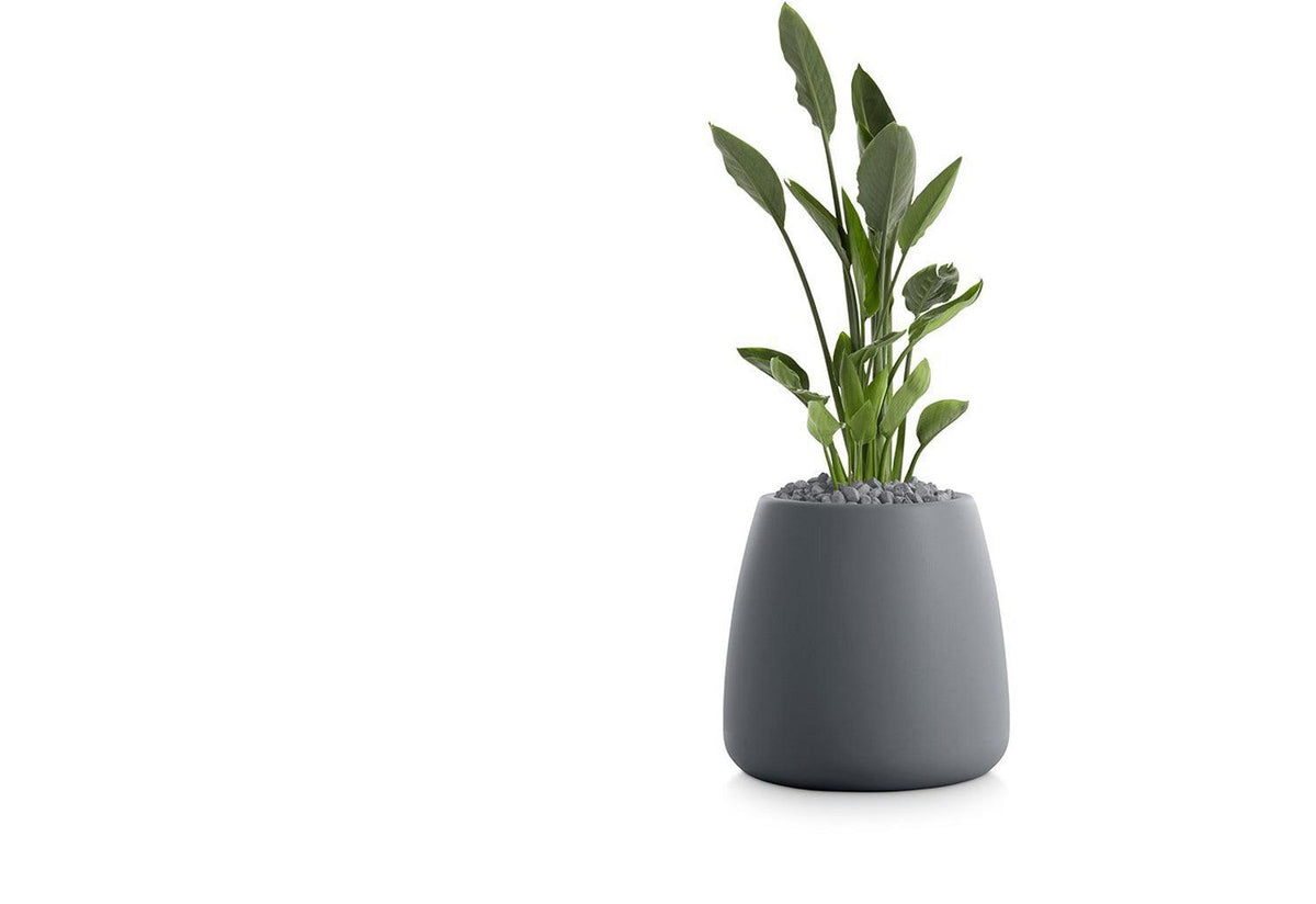 Gobi Planter, Gandia blasco
