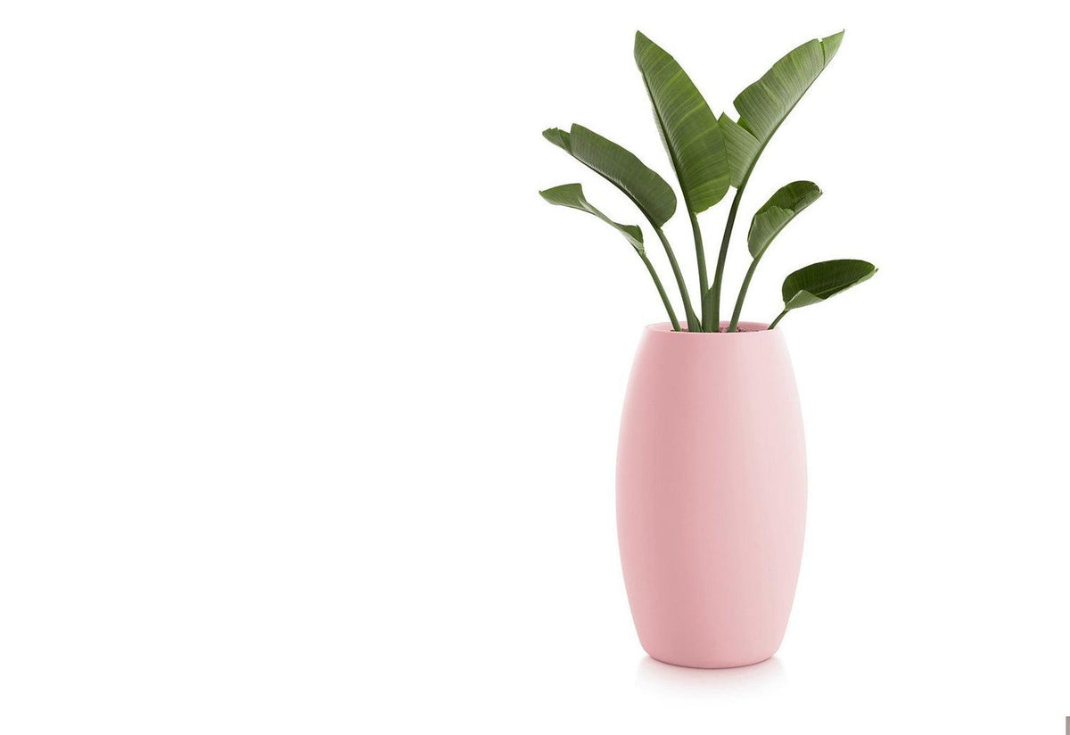 Gobi Planter, Gandia blasco