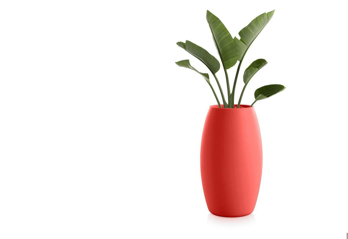 Gobi Planter, Gandia blasco