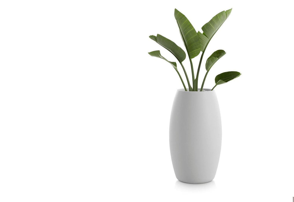 Gobi Planter, Gandia blasco