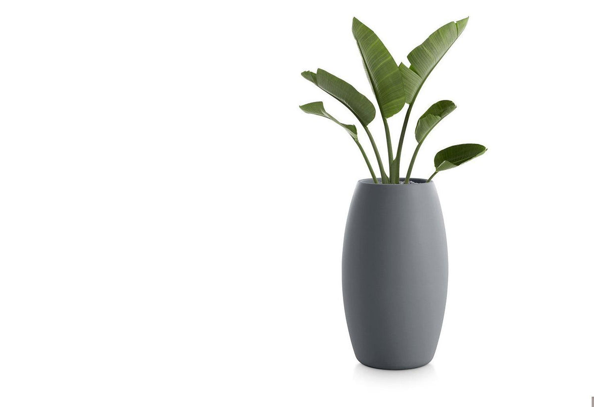 Gobi Planter, Gandia blasco