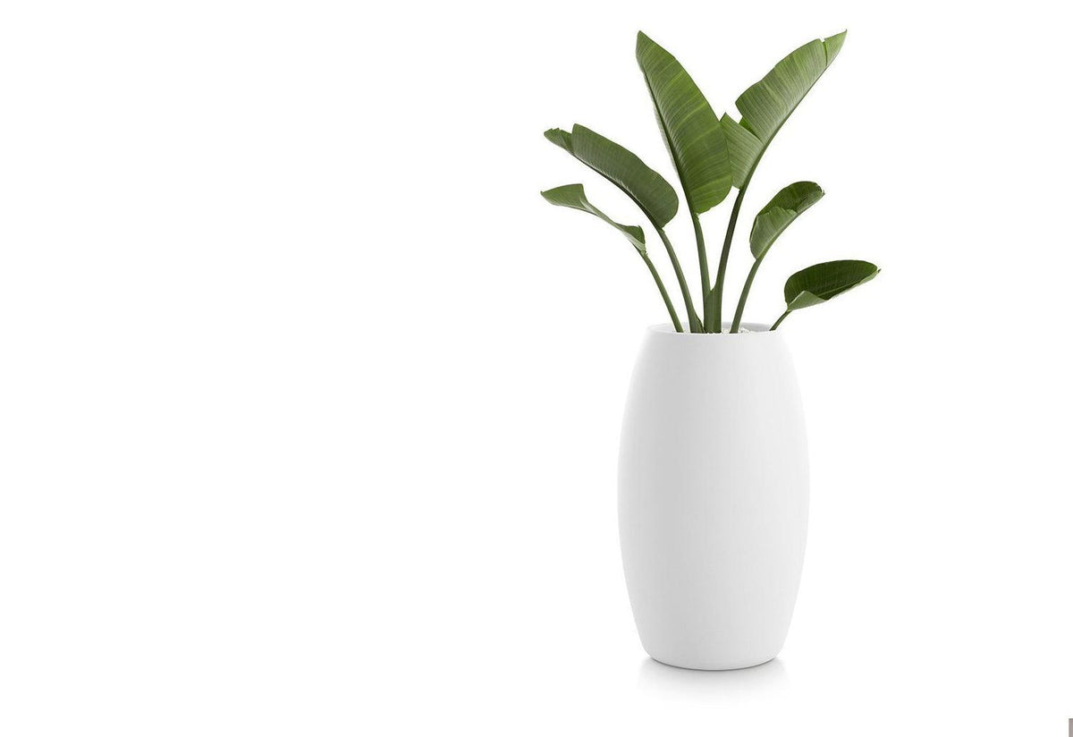 Gobi Planter, Gandia blasco