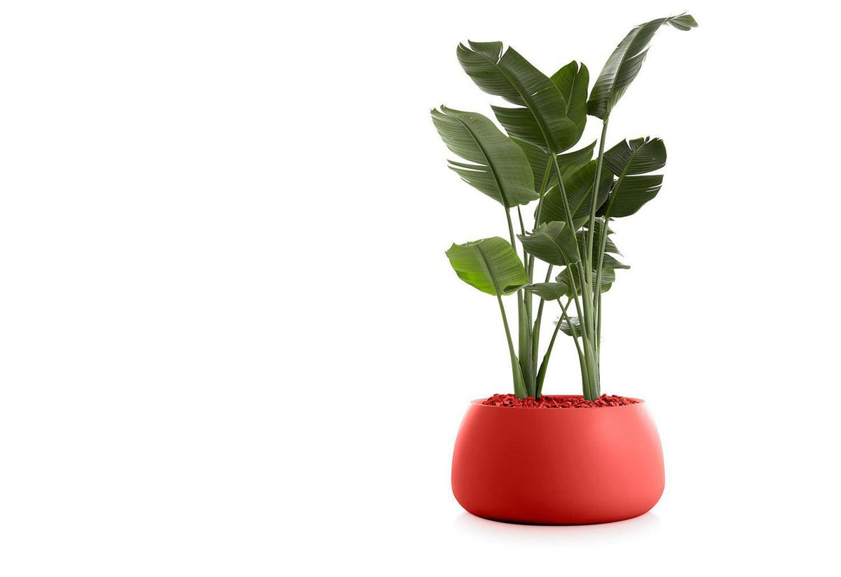 Gobi Planter, Gandia blasco