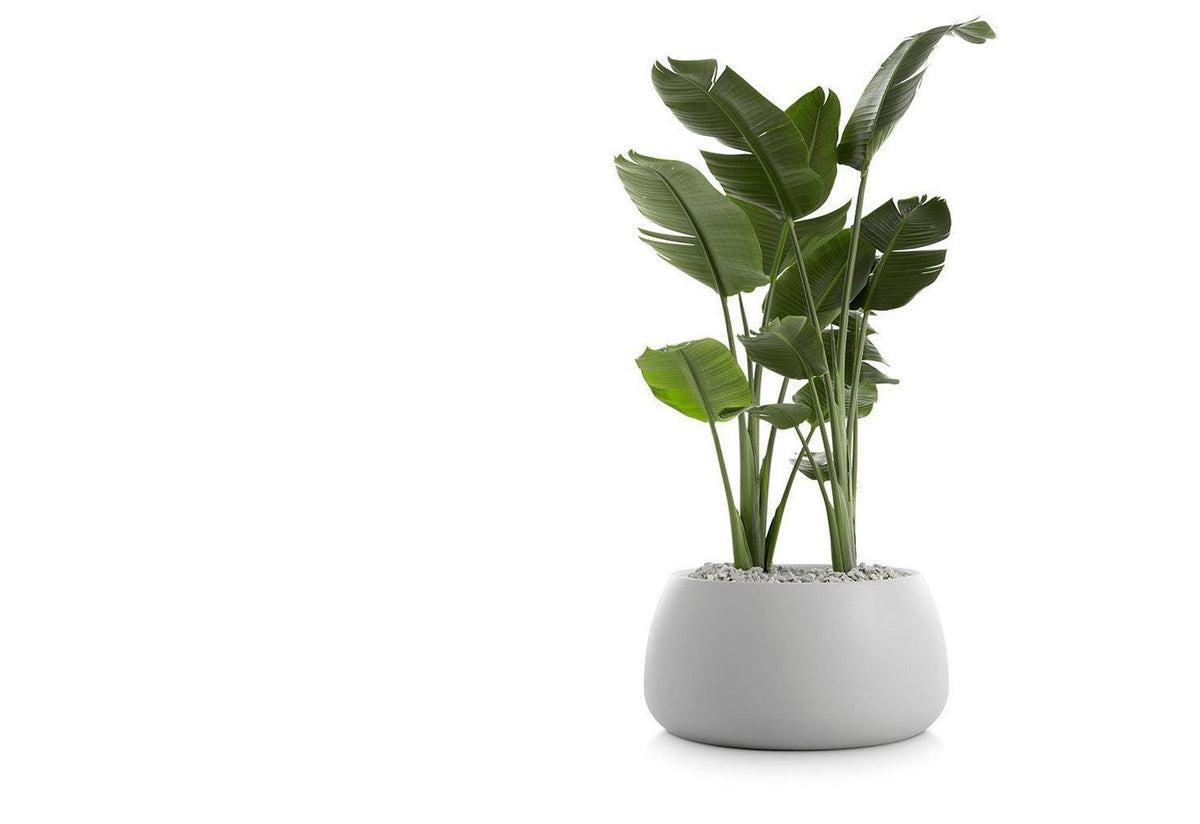 Gobi Planter, Gandia blasco