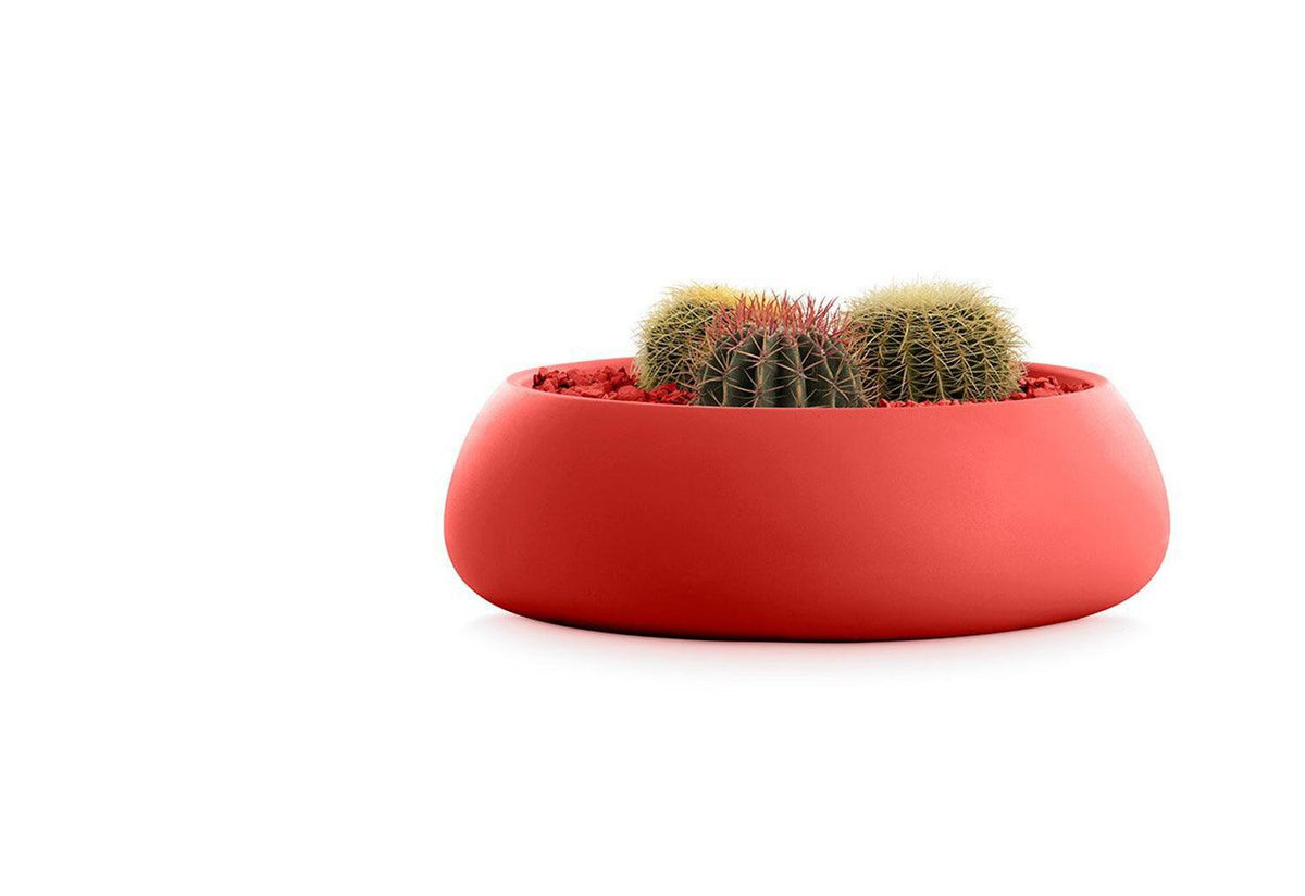 Gobi Planter, Gandia blasco