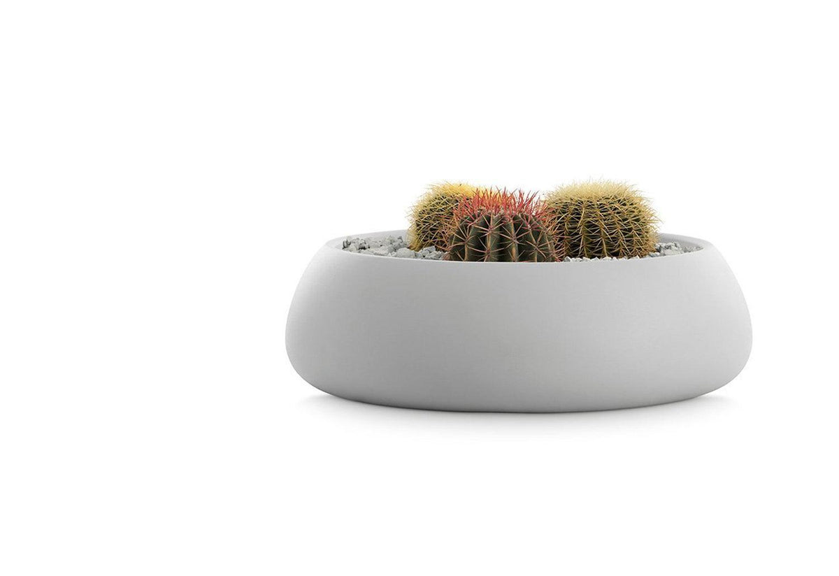 Gobi Planter, Gandia blasco