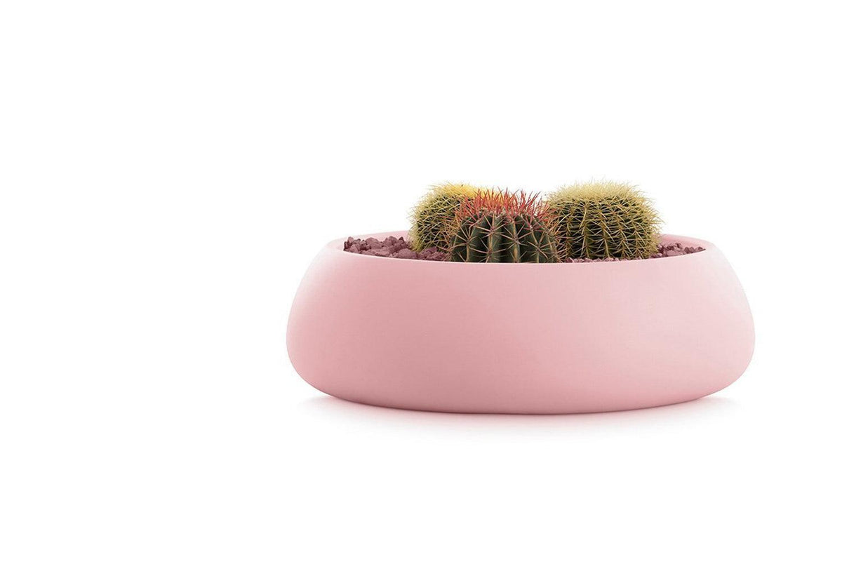 Gobi Planter, Gandia blasco
