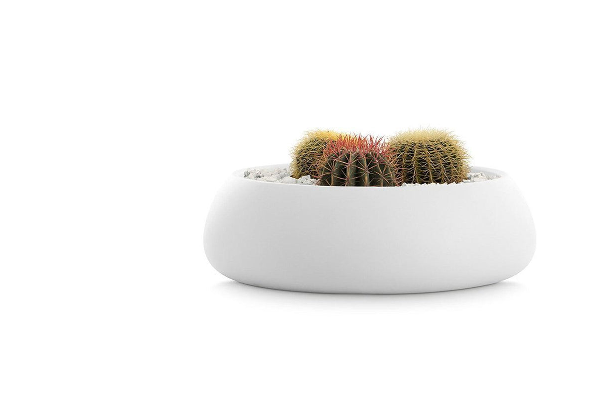 Gobi Planter, Gandia blasco