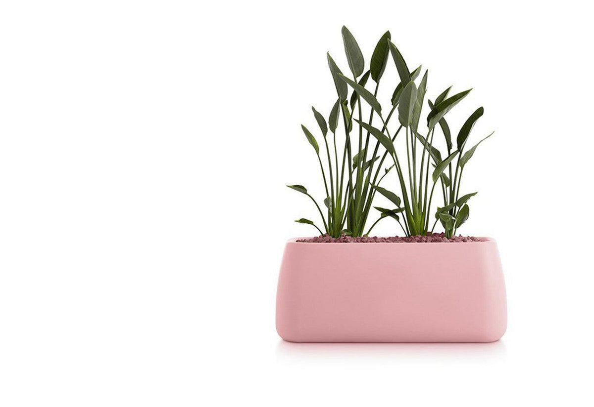 Gobi Planter, Gandia blasco