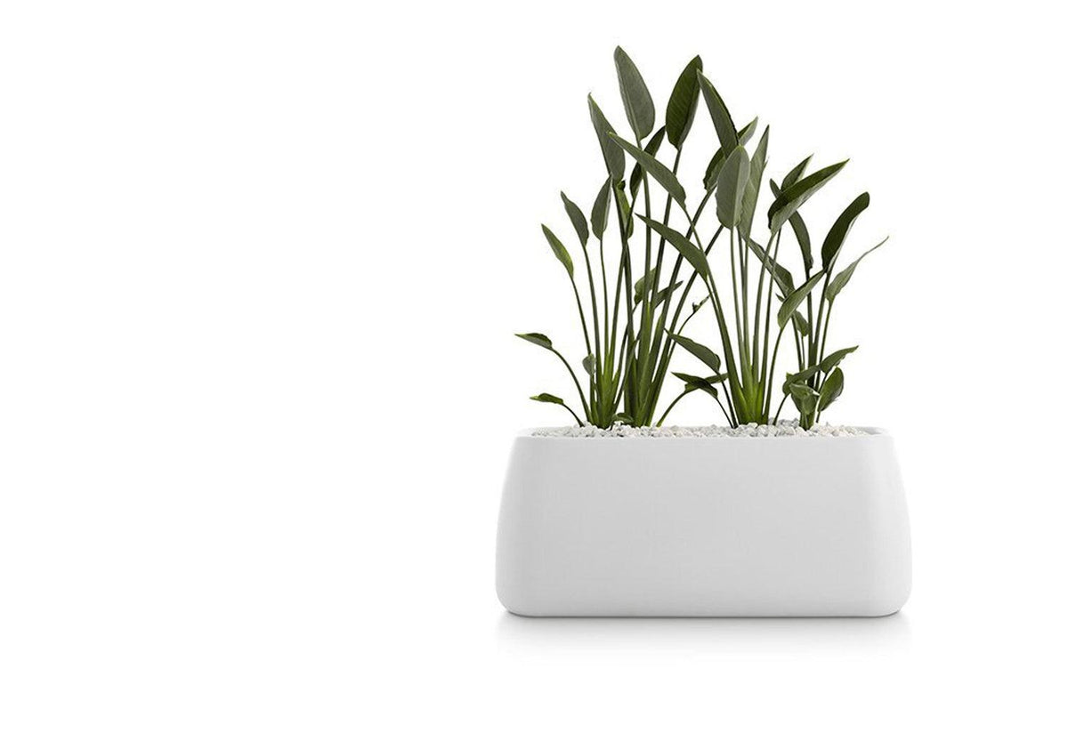 Gobi Planter, Gandia blasco