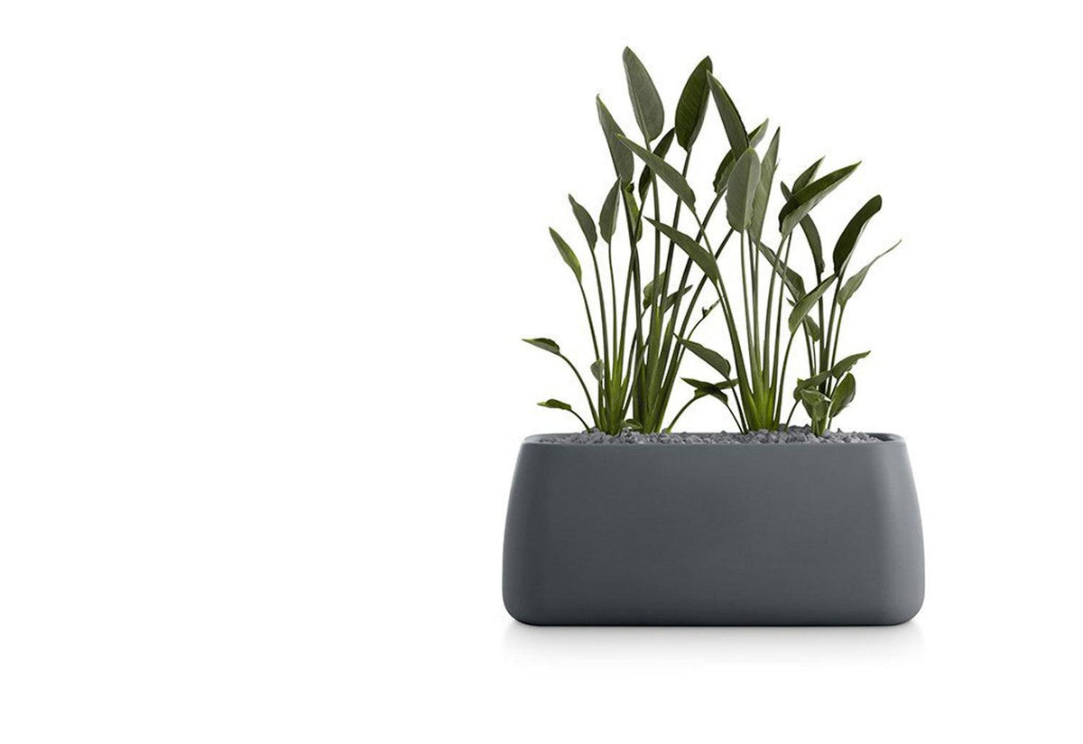 Gobi Planter, Gandia blasco