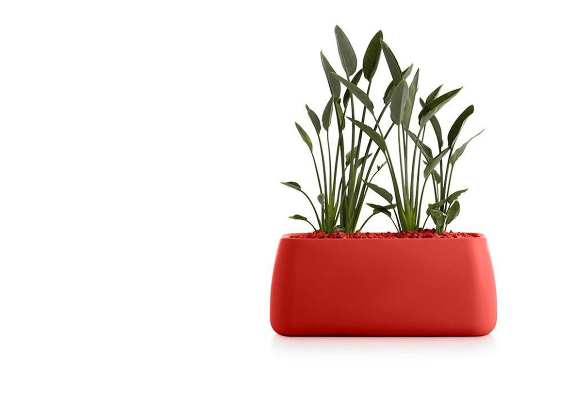 Gobi Planter, Gandia blasco