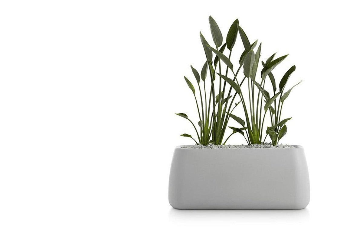Gobi Planter, Gandia blasco