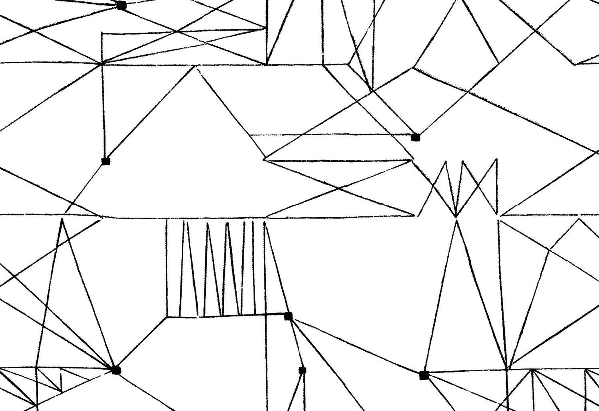 Graphica Fabric, 1953, Lucienne day, Classic textiles