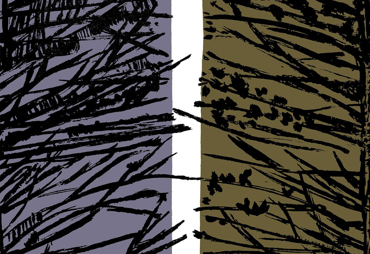 Larch Fabric, 1961, Lucienne day, Classic textiles