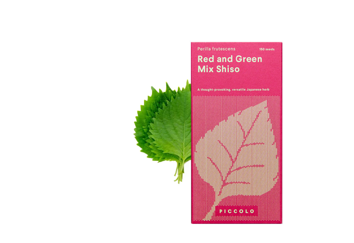 Piccolo Cocktail Herb Seed Collection, Piccolo