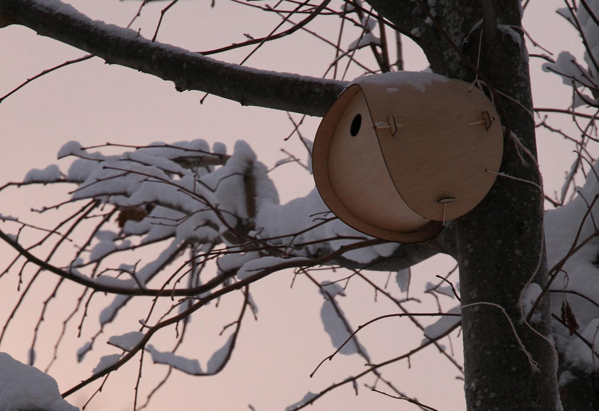 Flat Pack Bird House, Smithmatthias
