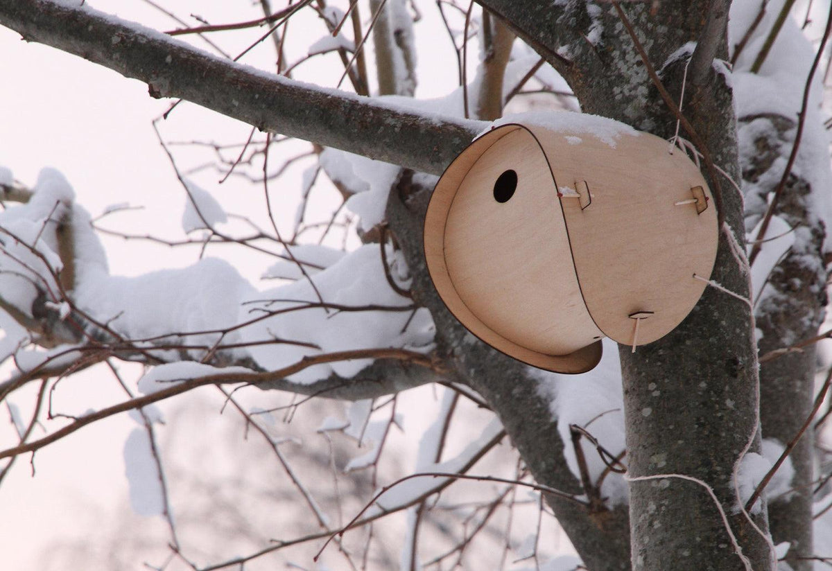 Flat Pack Bird House, Smithmatthias